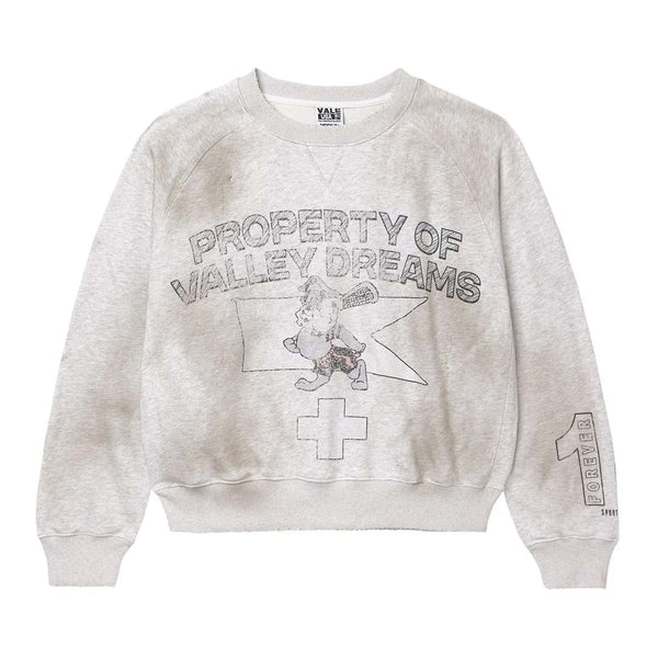 Vale Forever Prison Break Crewneck 'Dest/Light Grey'