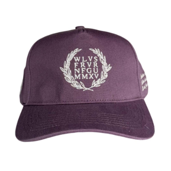Darcsport Laurel V2 5 Panel Hat Vintage Plum