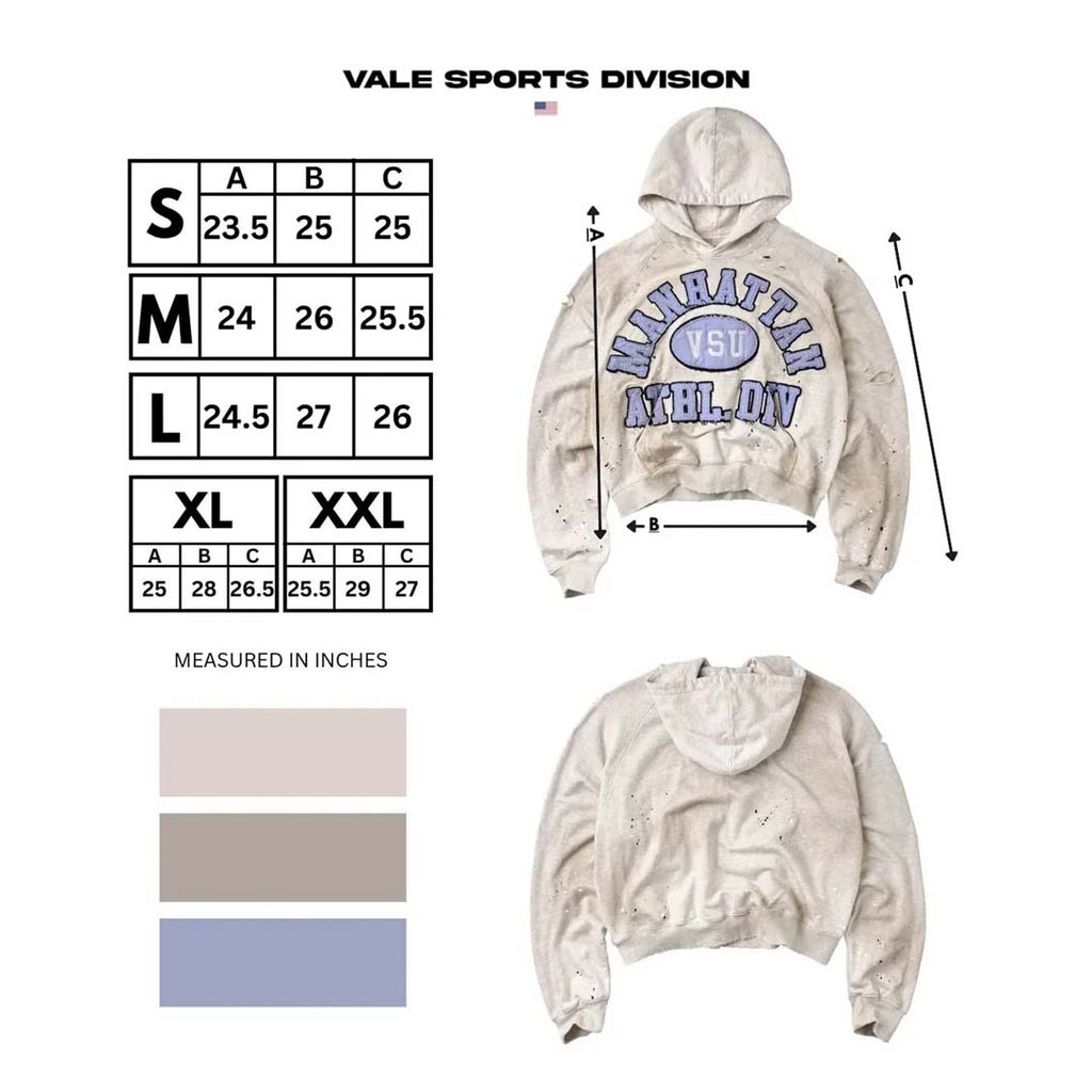 Vale Forever Manhattan VSU Pullover Hoodie Grey Blue