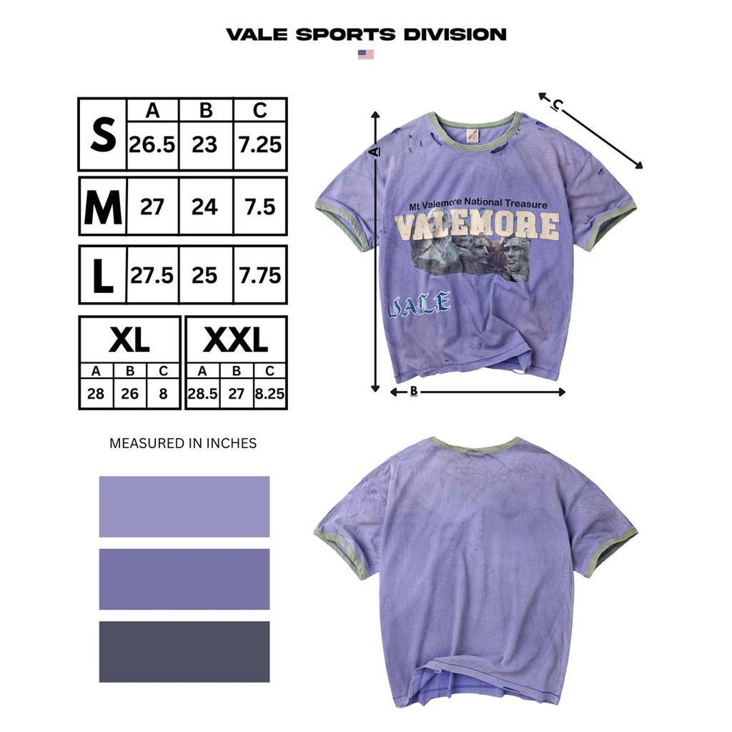 Vale Forever Lake Camp Ringer Tee Purple Green