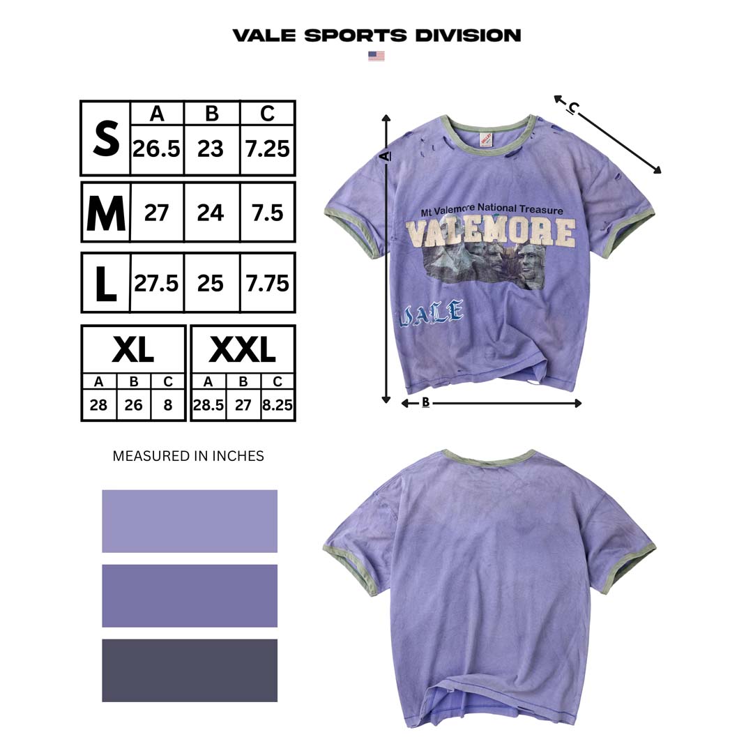 Vale Forever Lake Camp Ringer Tee Purple Green