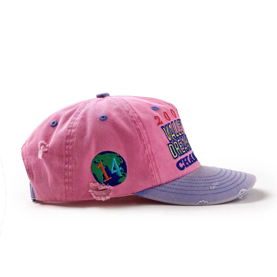 Vale Forever Piggy Bank Hat Pink