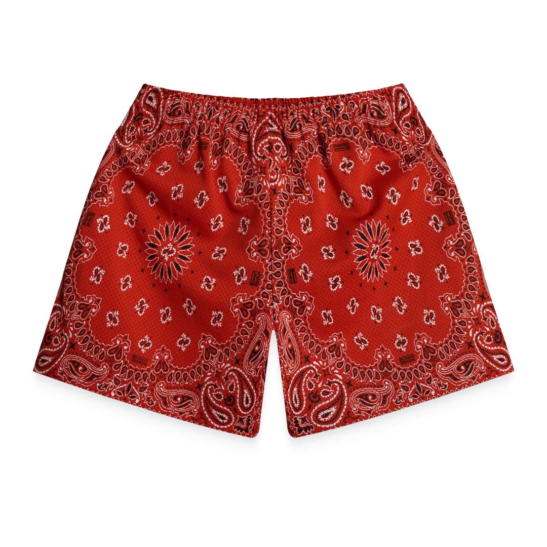 Bravest Paisley Two Tone Red Mesh Shorts