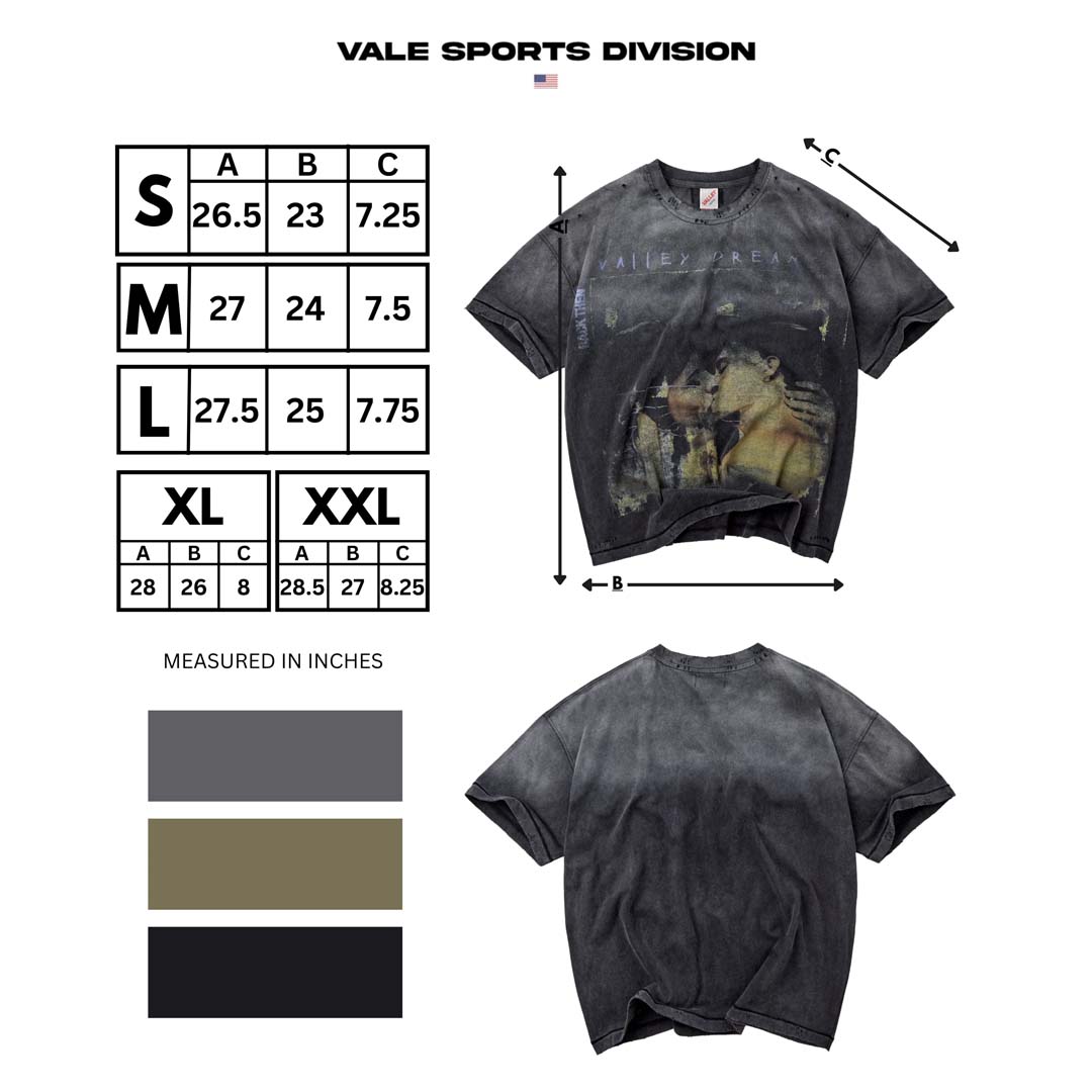 Vale Forever Valley Dream Tee Faded Black