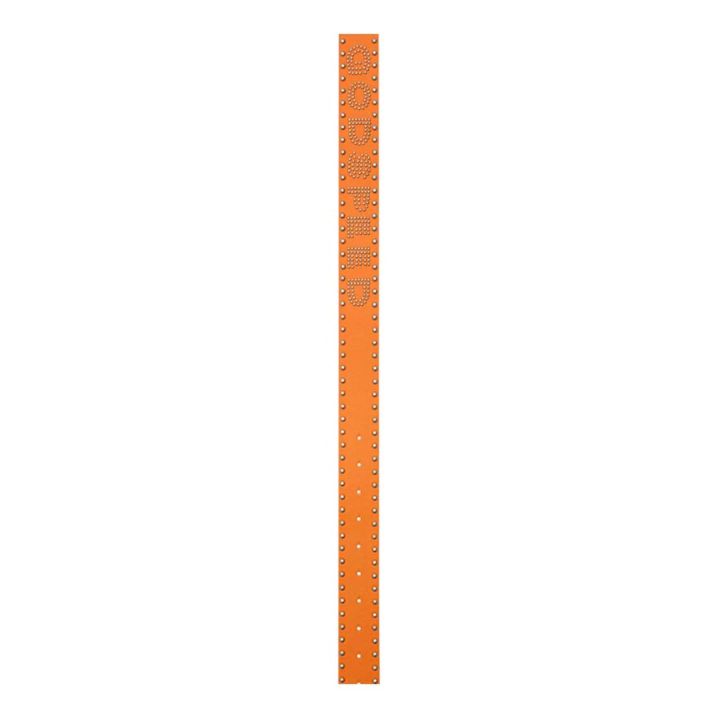 Godspeed Forged GS Studded Belt Orange