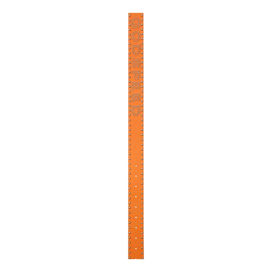Godspeed Forged GS Studded Belt Orange