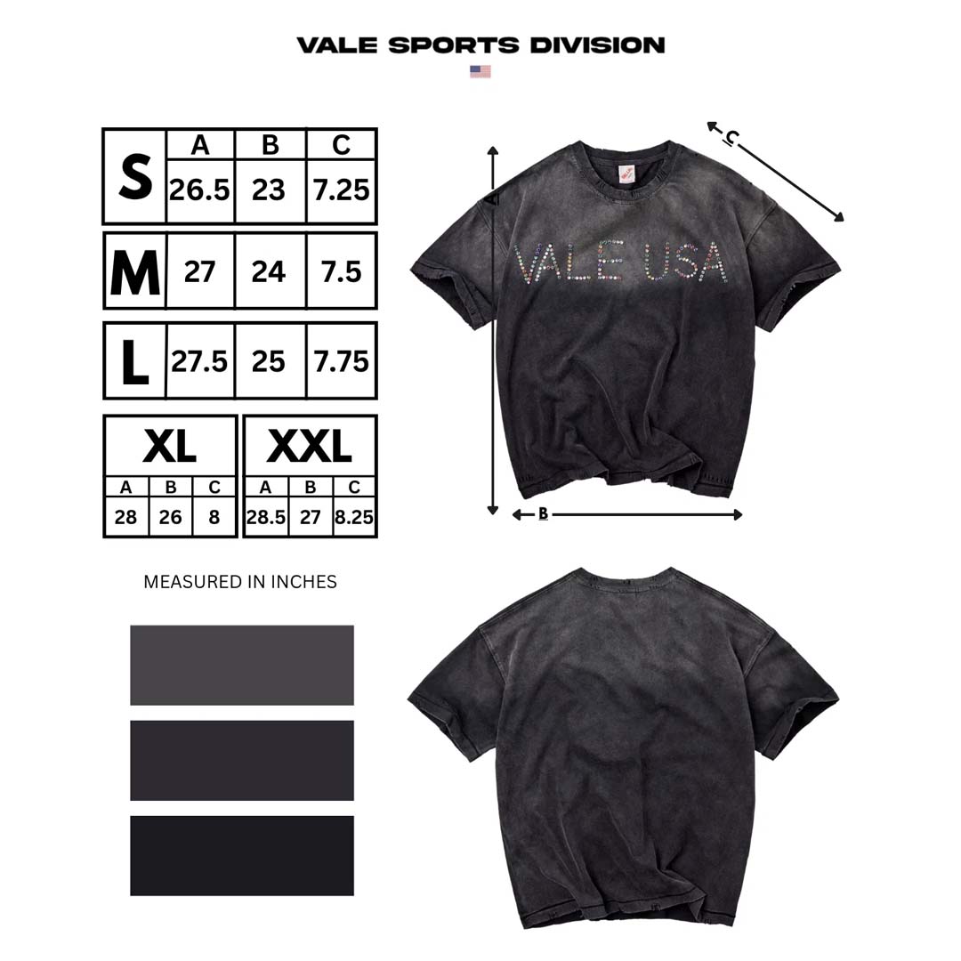 Vale Forever DIY Vale USA Tee Faded Black