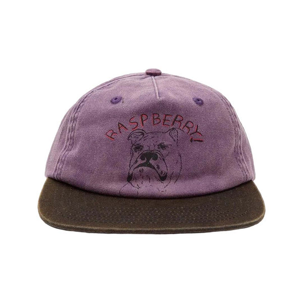 GV Gallery Bulldog Hat Purple