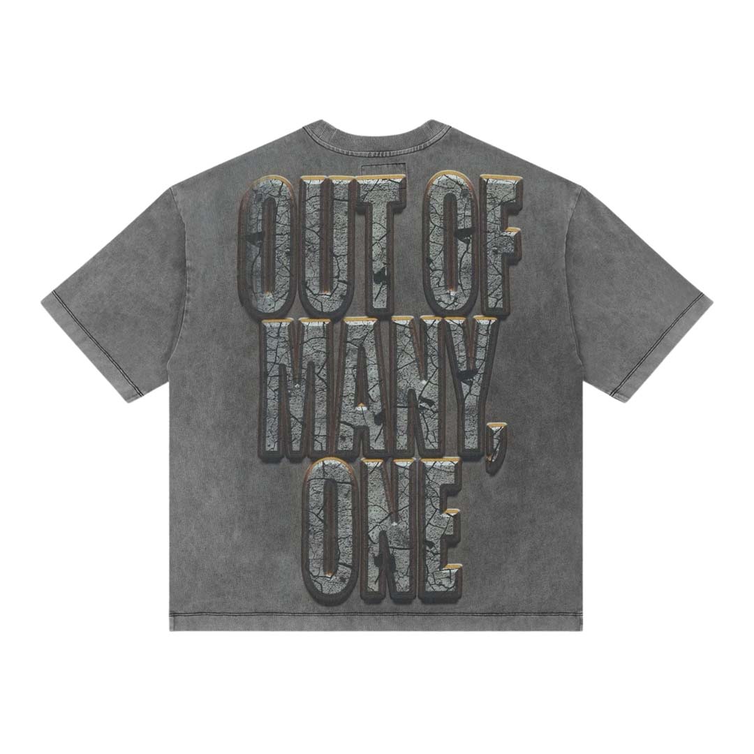 Godspeed Liberty Ruins Tee Grey