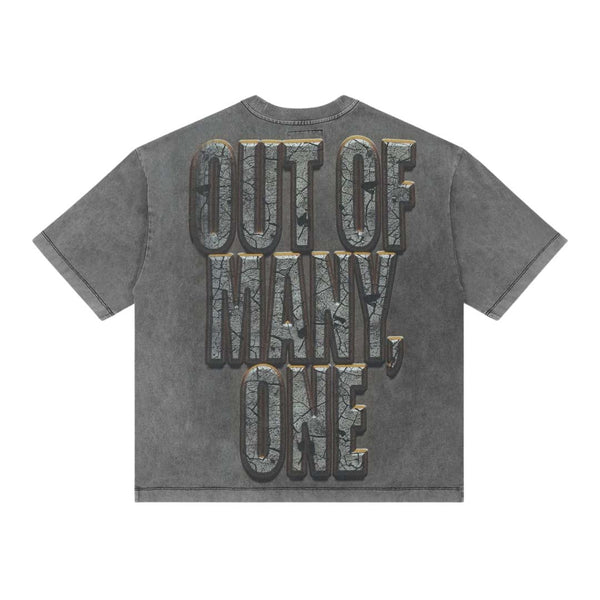 Godspeed Liberty Ruins Tee Grey