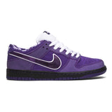 Nike SB Dunk Low Concepts Purple Lobster