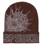 Sp5der Web Beanie Brown