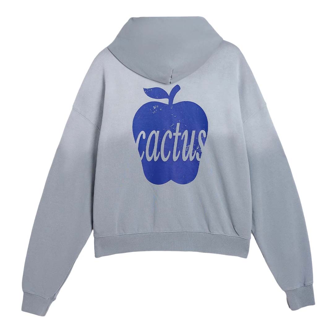 Cactus Valley Lost N Found Grey Faded Hoodie by Cactus Valley - NWAHYPE No.1 for streetwear Hoodies in USA