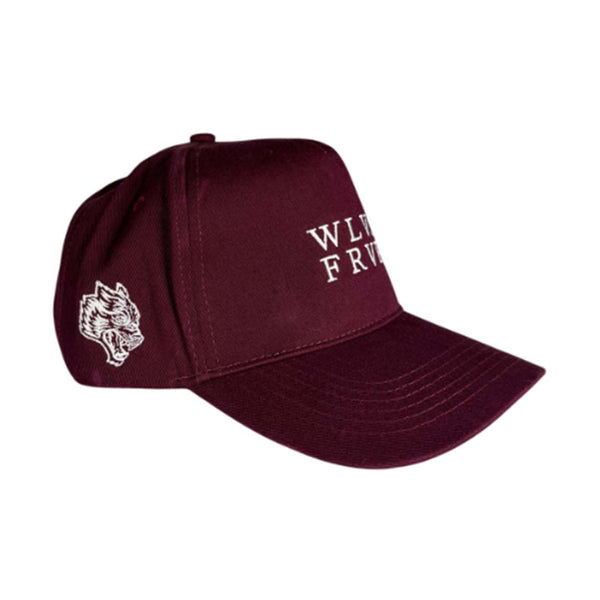 Darcsport FRVR 5 Panel Hat Gemstone by Darcsport - NWAHYPE No.1 for streetwear Hats in USA