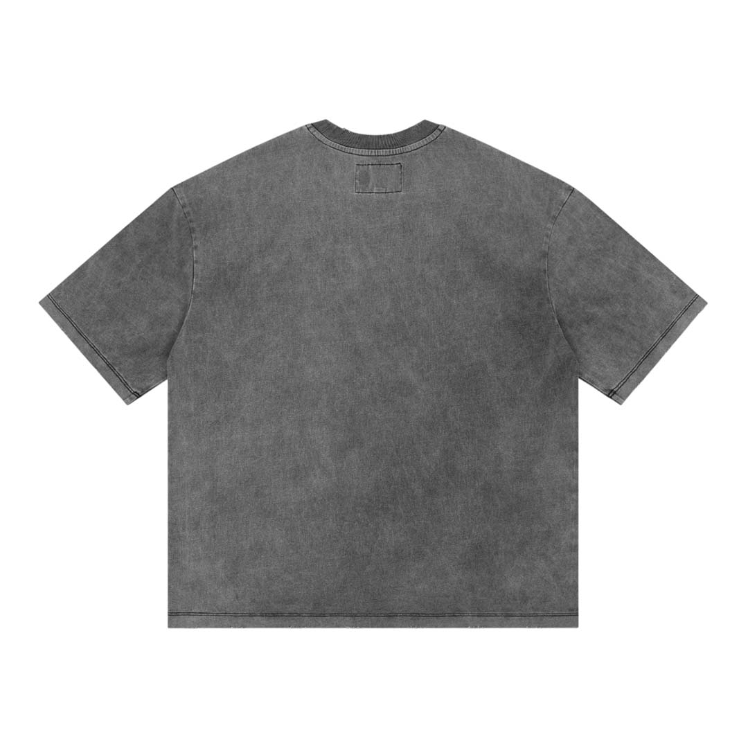 Godspeed Freedoms Protocol Tee Grey Wash by Godspeed - NWAHYPE No.1 for streetwear T-Shirts in USA