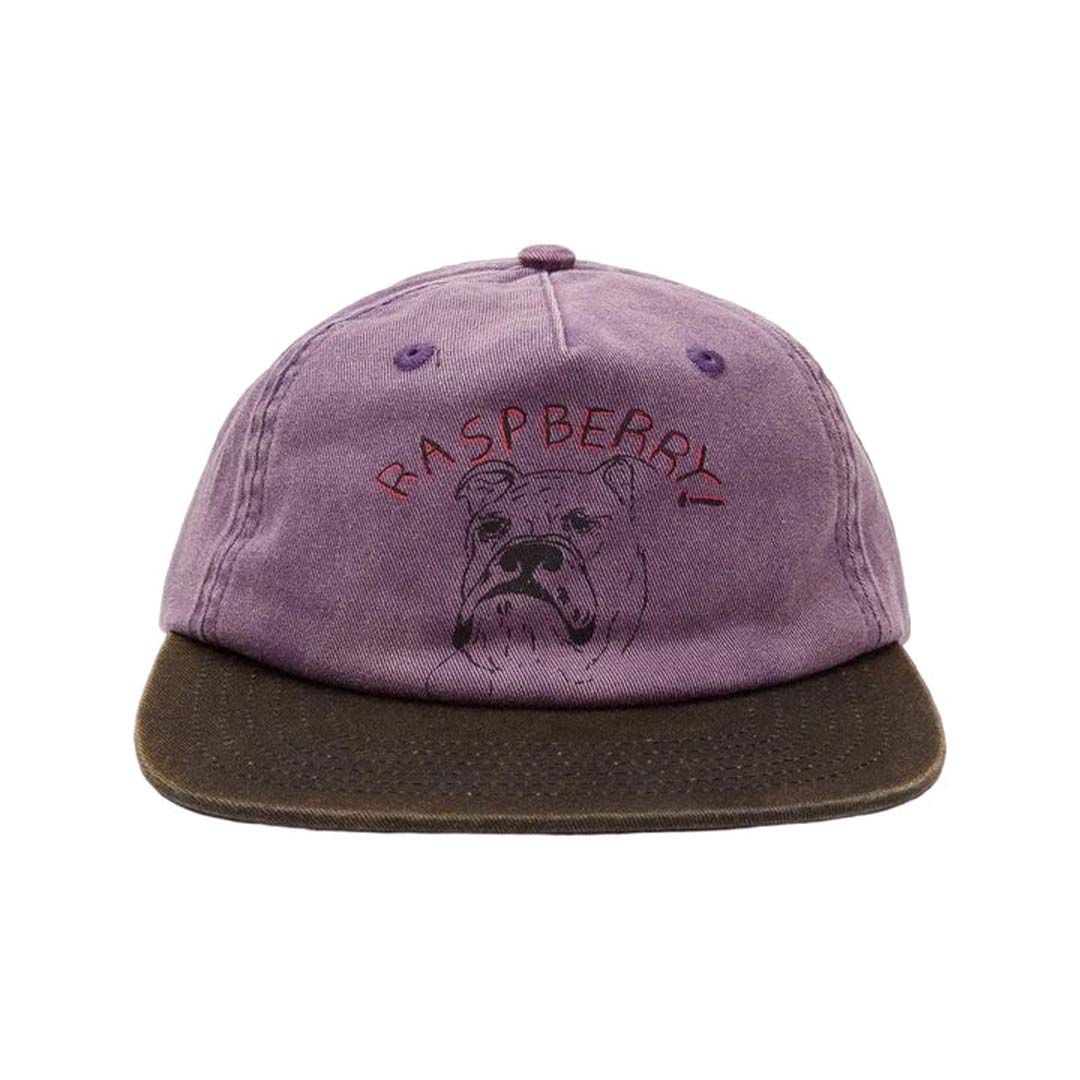 GV Gallery Bulldog Hat Purple by GV Gallery - NWAHYPE No.1 for streetwear Hats in USA