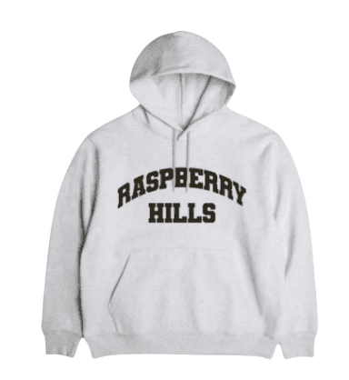 GV Gallery Raspberry Hills Hoodie Grey by GV Gallery - NWAHype No.1 for streetwear Hoodies in USA