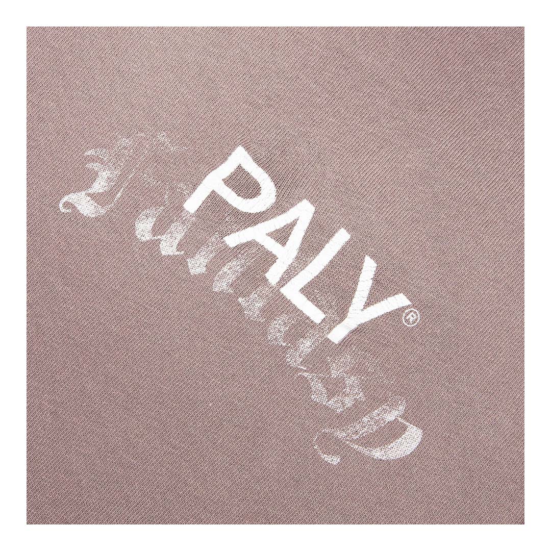 Paly Hollywood Core Logo Faded Brown Tee Jersey by Paly Hollywood - NWAHYPE No.1 for streetwear T-Shirts in USA