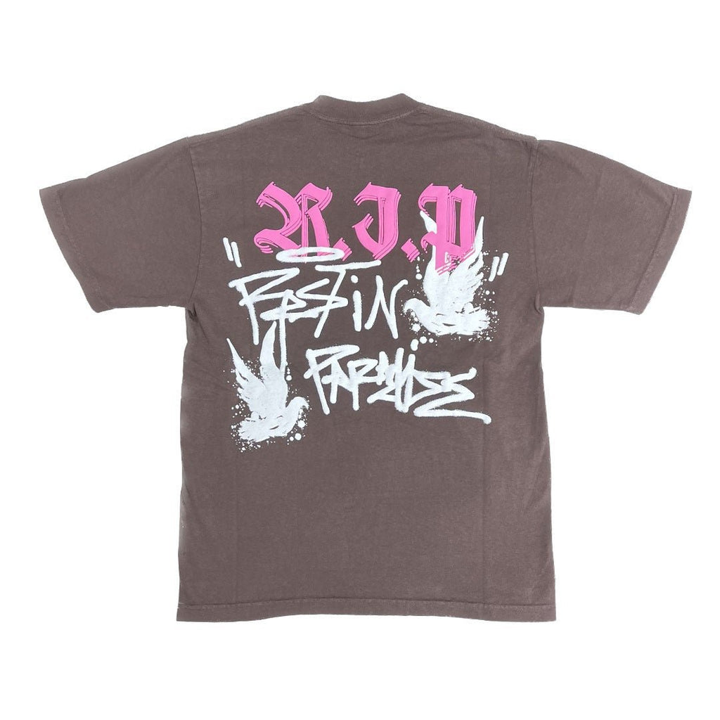 Revenge Graffiti Dove Brown Pink by Revenge - NWAHype 1 for streetwear T-Shirts in USA