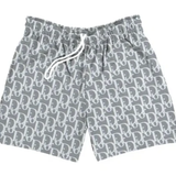 Bravest Studios D Mesh Shorts Grey