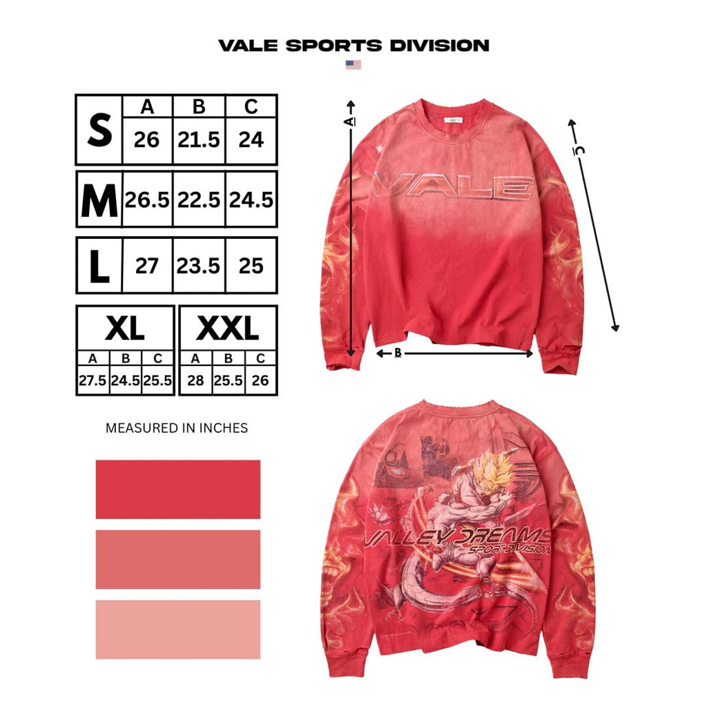 Vale Forever Budokai Long Sleeve Tee Faded Red by Vale Forever - NWAHYPE No.1 for streetwear T-Shirts in USA