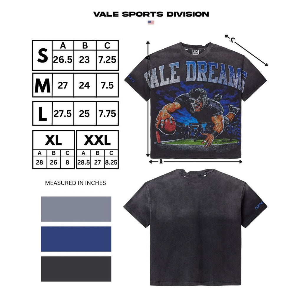 Vale Forever Gridiron Bling Tee Faded Black by Vale Forever - NWAHype 1 for streetwear T-Shirts in USA