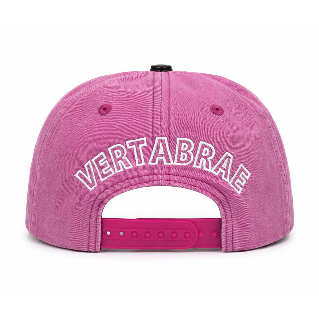 Vertabrae Faded Pink White Snapback Hat by Vertabrae - NWAHYPE No.1 for streetwear Hats in USA
