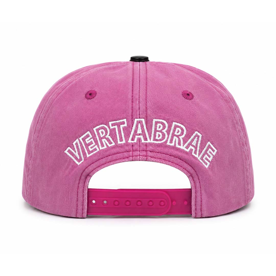 Vertabrae Faded Pink White Snapback Hat by Vertabrae - NWAHYPE No.1 for streetwear Hats in USA