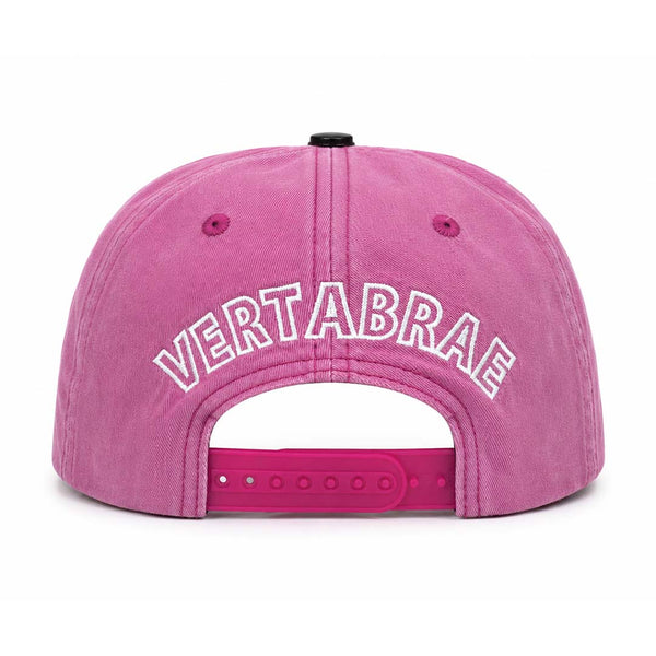 Vertabrae Faded Pink White Snapback Hat by Vertabrae - NWAHYPE No.1 for streetwear Hats in USA