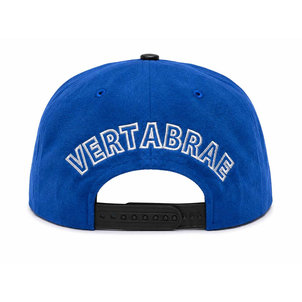 Vertabrae Royal Blue Black Suede Snapback Hat by Vertabrae - NWAHYPE No.1 for streetwear Hats in USA