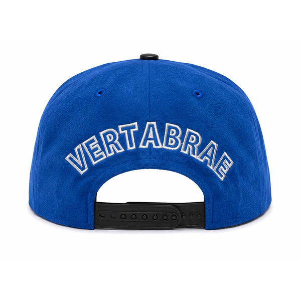 Vertabrae Royal Blue Black Suede Snapback Hat by Vertabrae - NWAHYPE No.1 for streetwear Hats in USA
